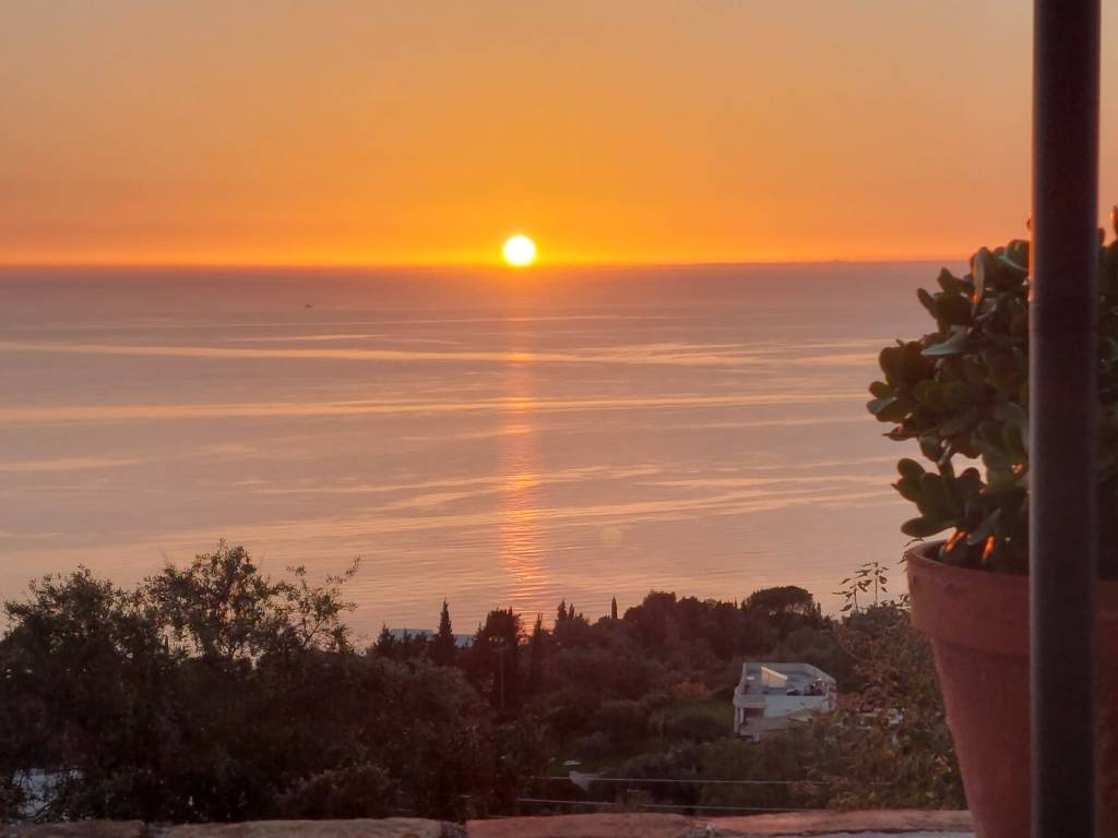 Wat zegt de wetenschap écht over HRT? De essenties op een&nbsp;rij